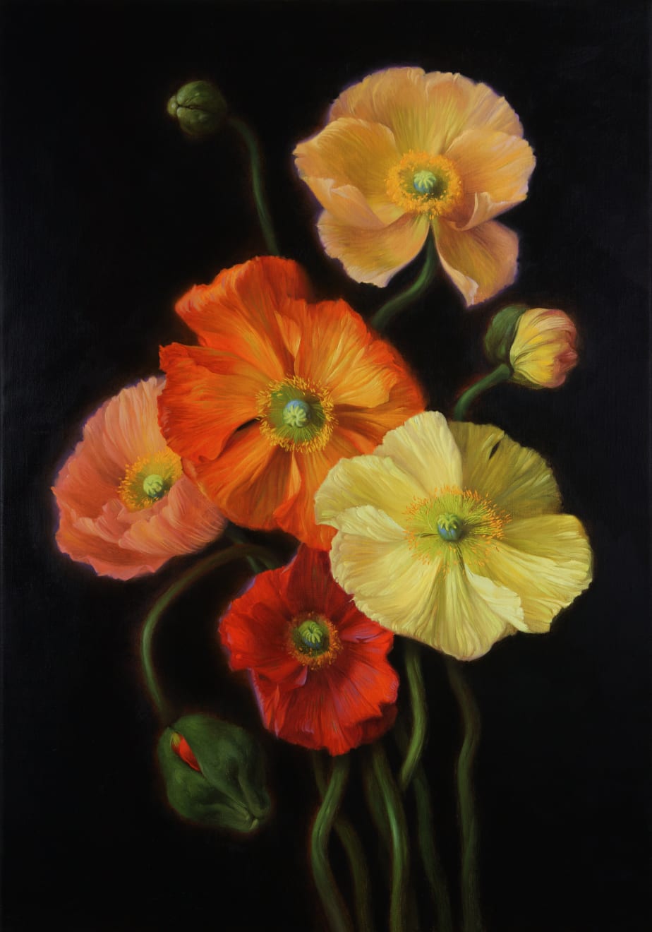 Anhelina Holembivska, Poppies, 2022
