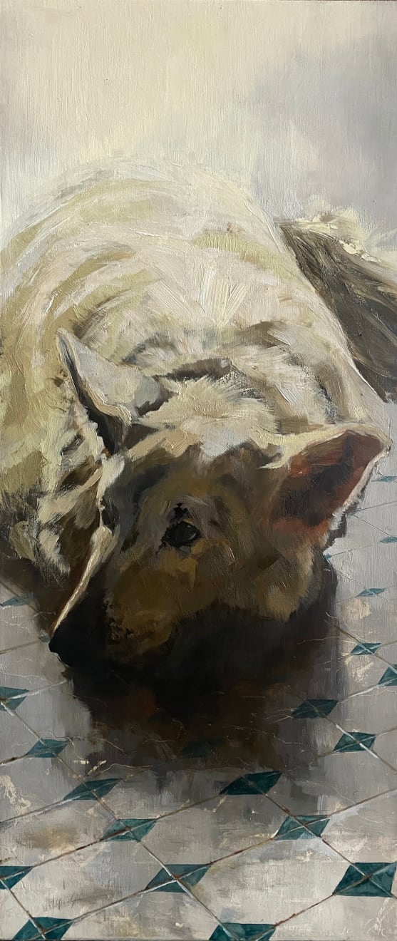 Philine van der Vegte, Swiss, 2022