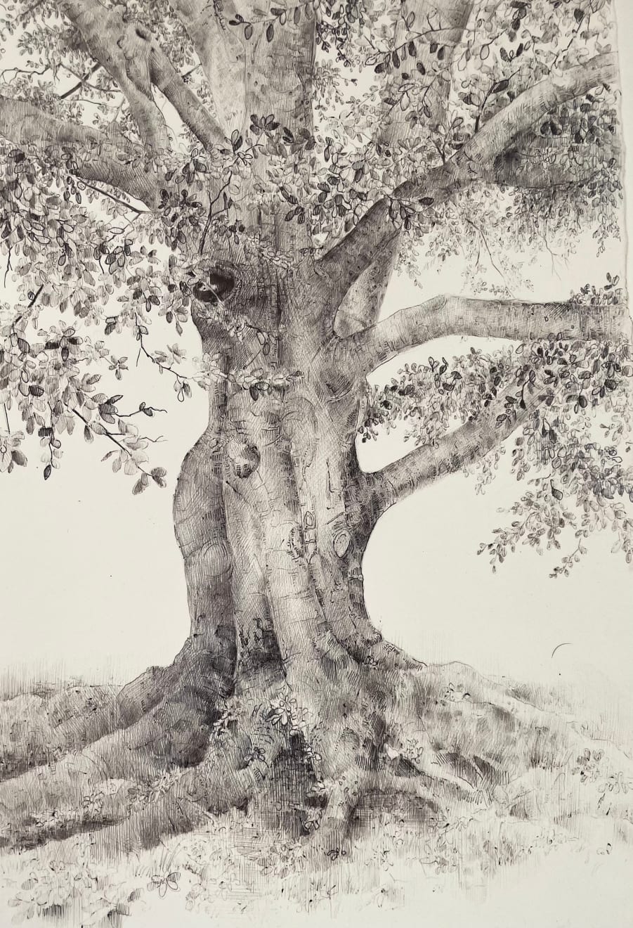 Dina Brodsky, The Overstory XV, 2023