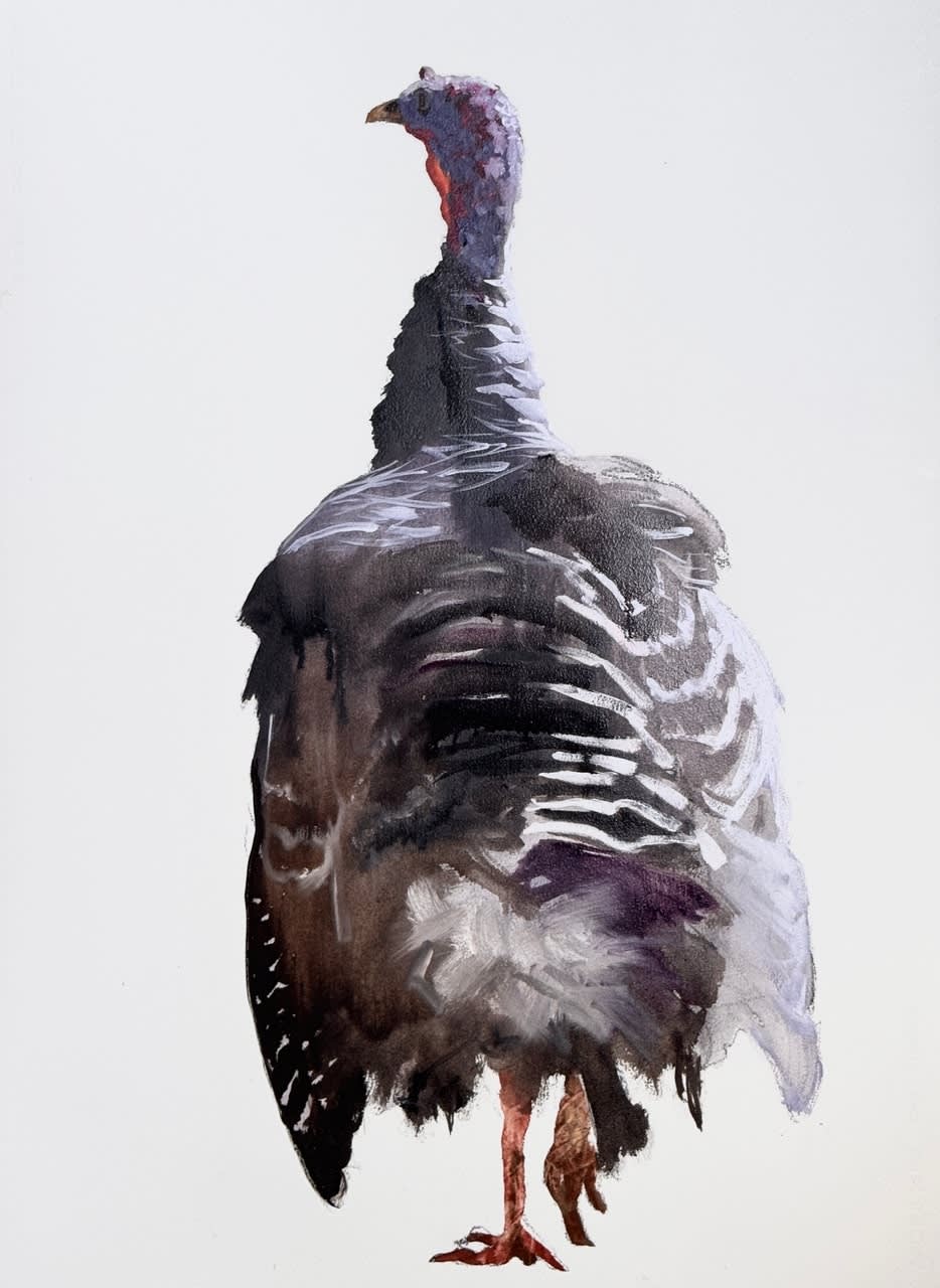 Philine van der Vegte, Weathered Feathers, 2025