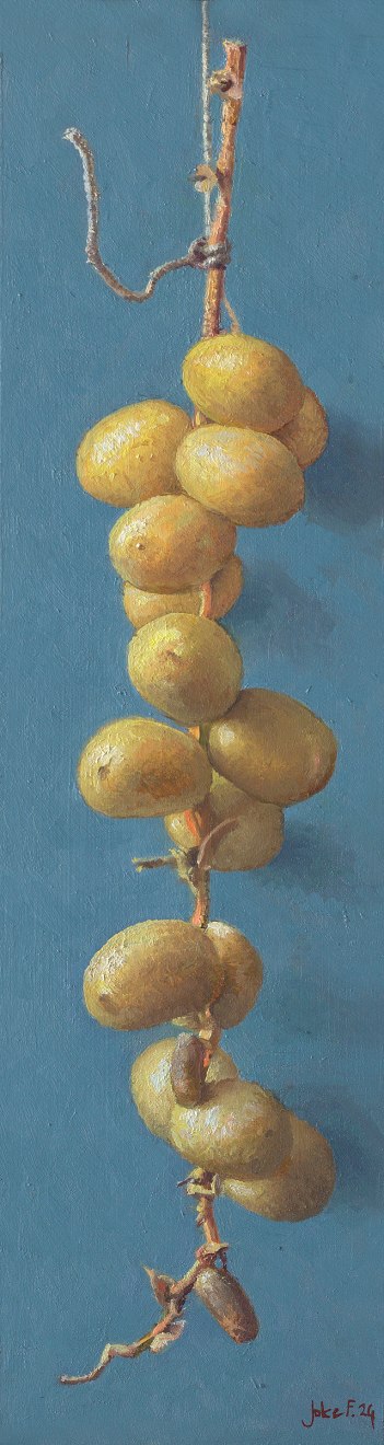 Joke Frima, Verse dadels, 2024