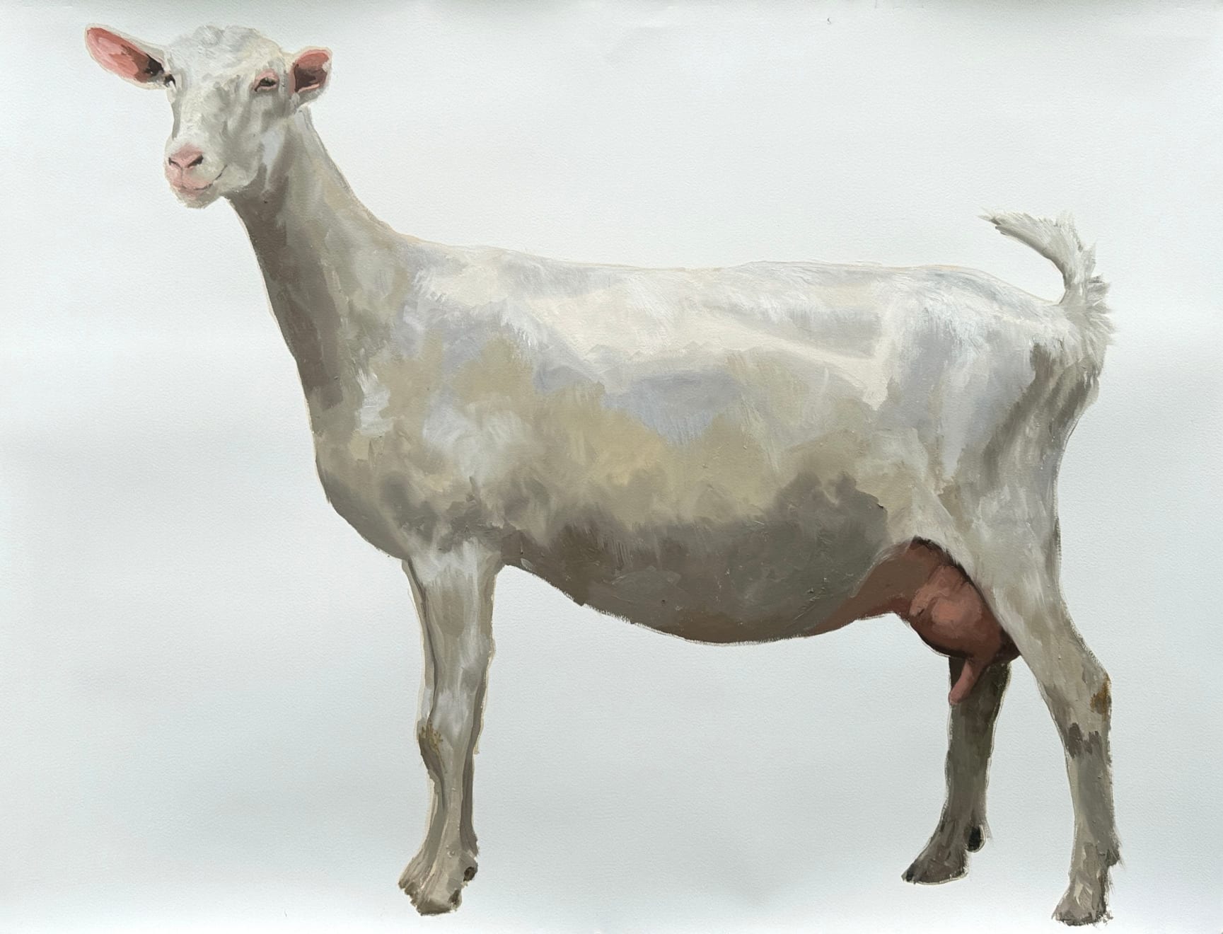 Philine van der Vegte, Joy, 2024