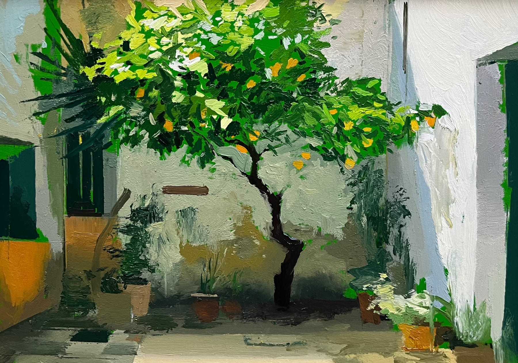 Antonio Barahona, El Naranjo I, 2024