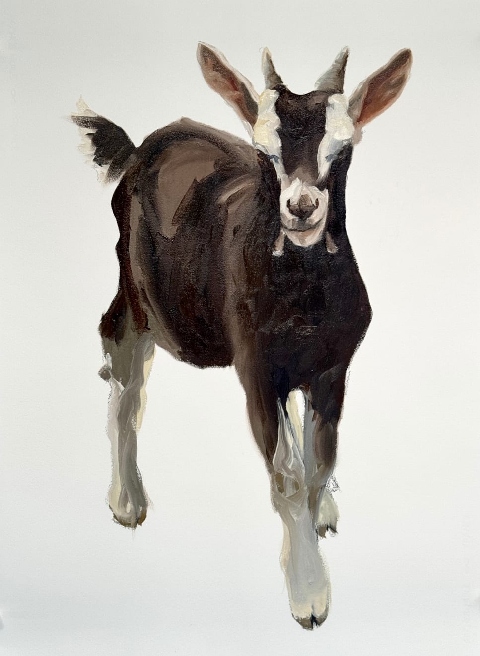 Philine van der Vegte, Looking for trouble, 2025