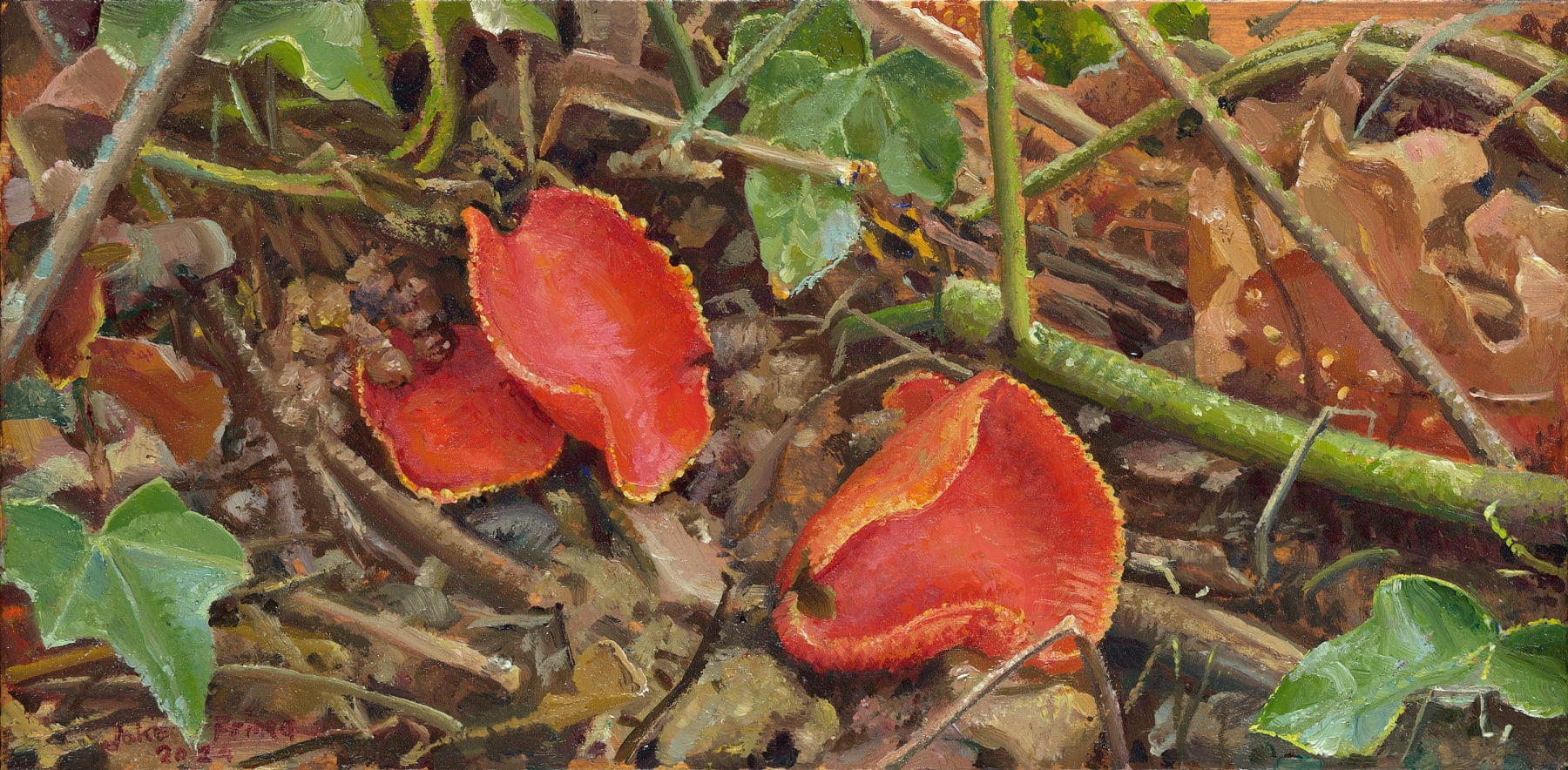 Joke Frima, Rode kelkzwam, 2024