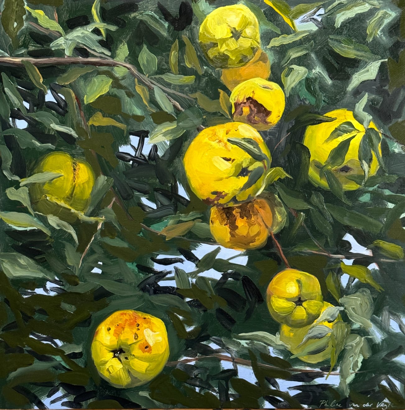 Philine van der Vegte, Golden harvest, 2024