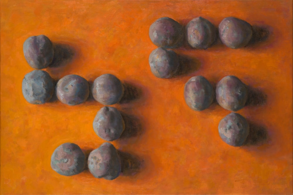 Mario ter Braak, Bildstar, 2017