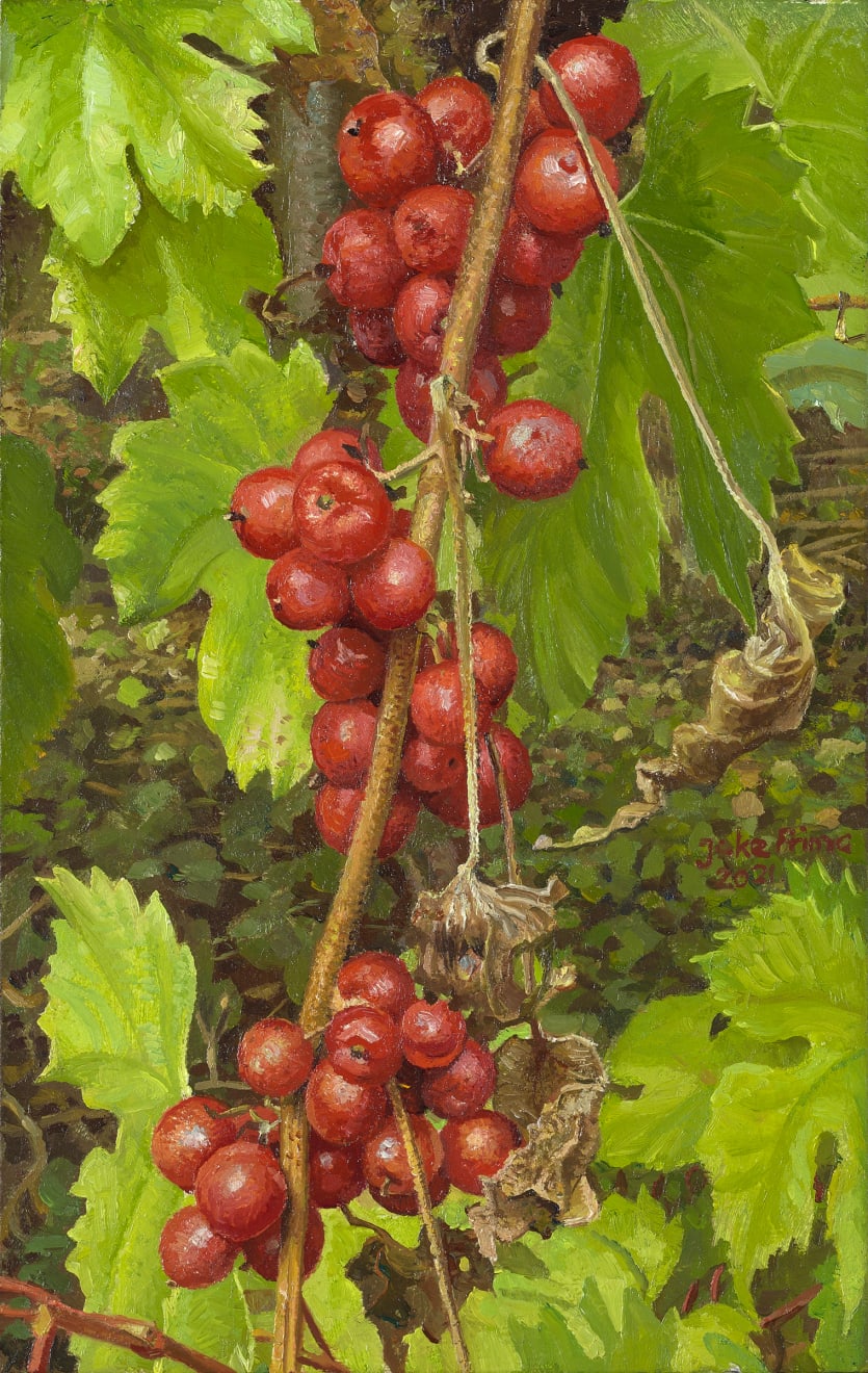 Joke Frima, Spekwortel in de wijngaard, 2021