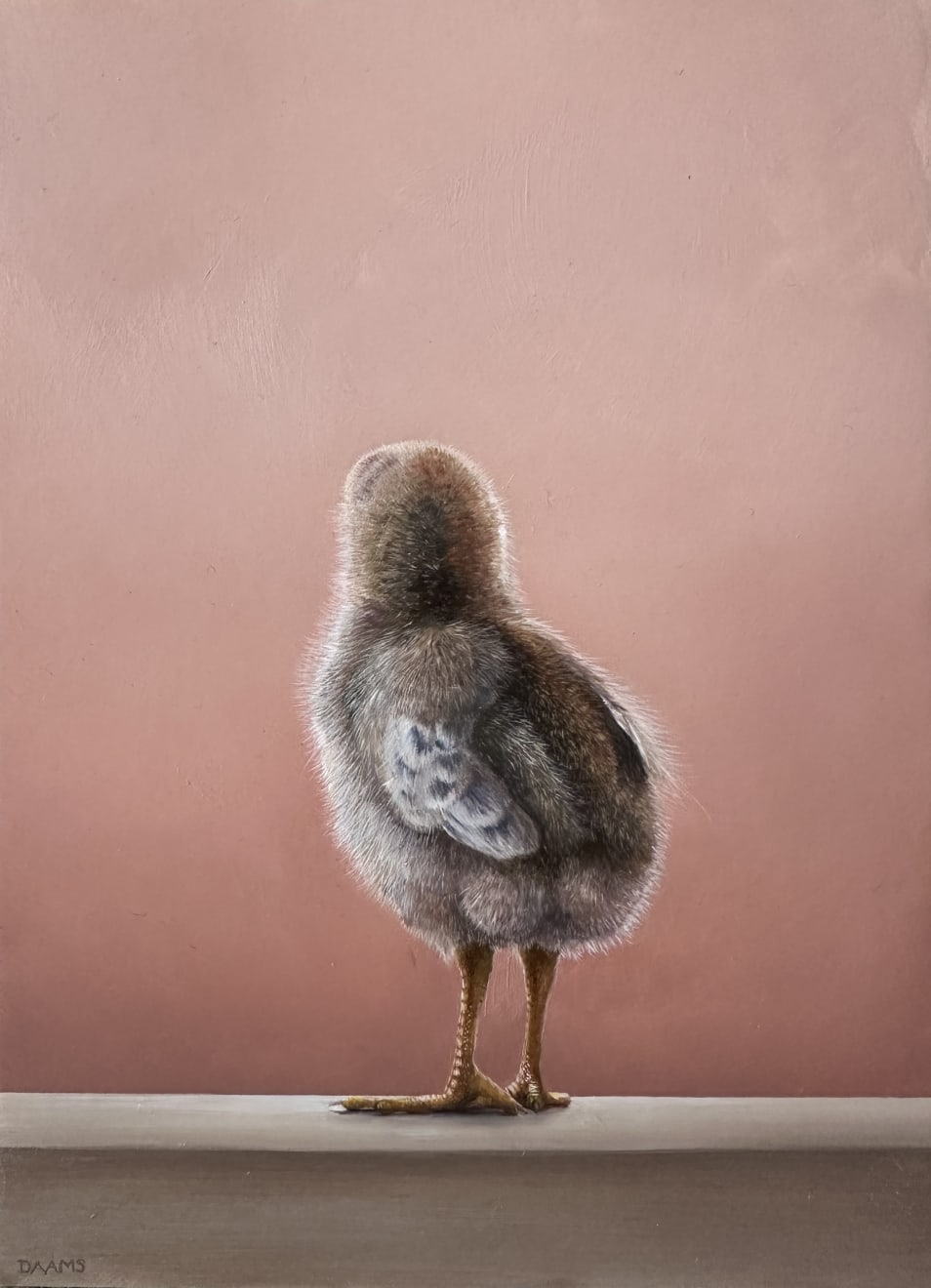 Judith Daams, Chick, 2024