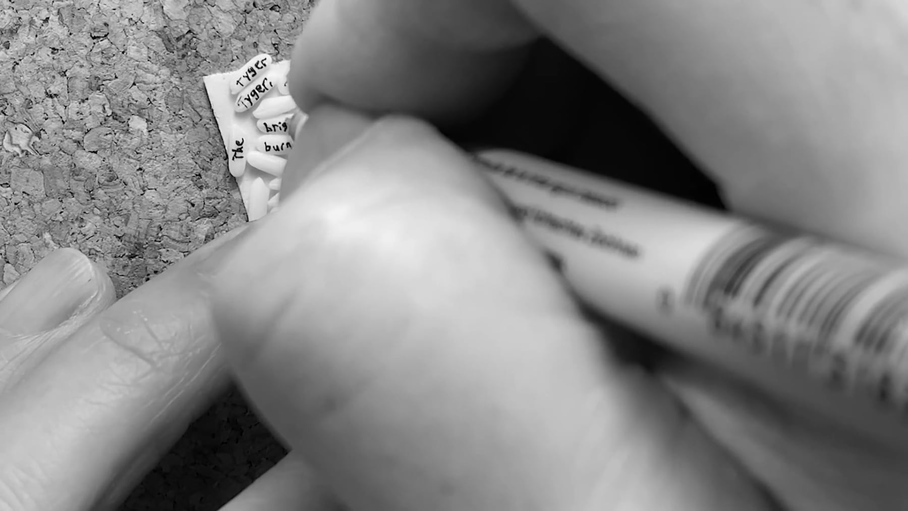 Trong Gia Nguyen, The Tyger, 2021