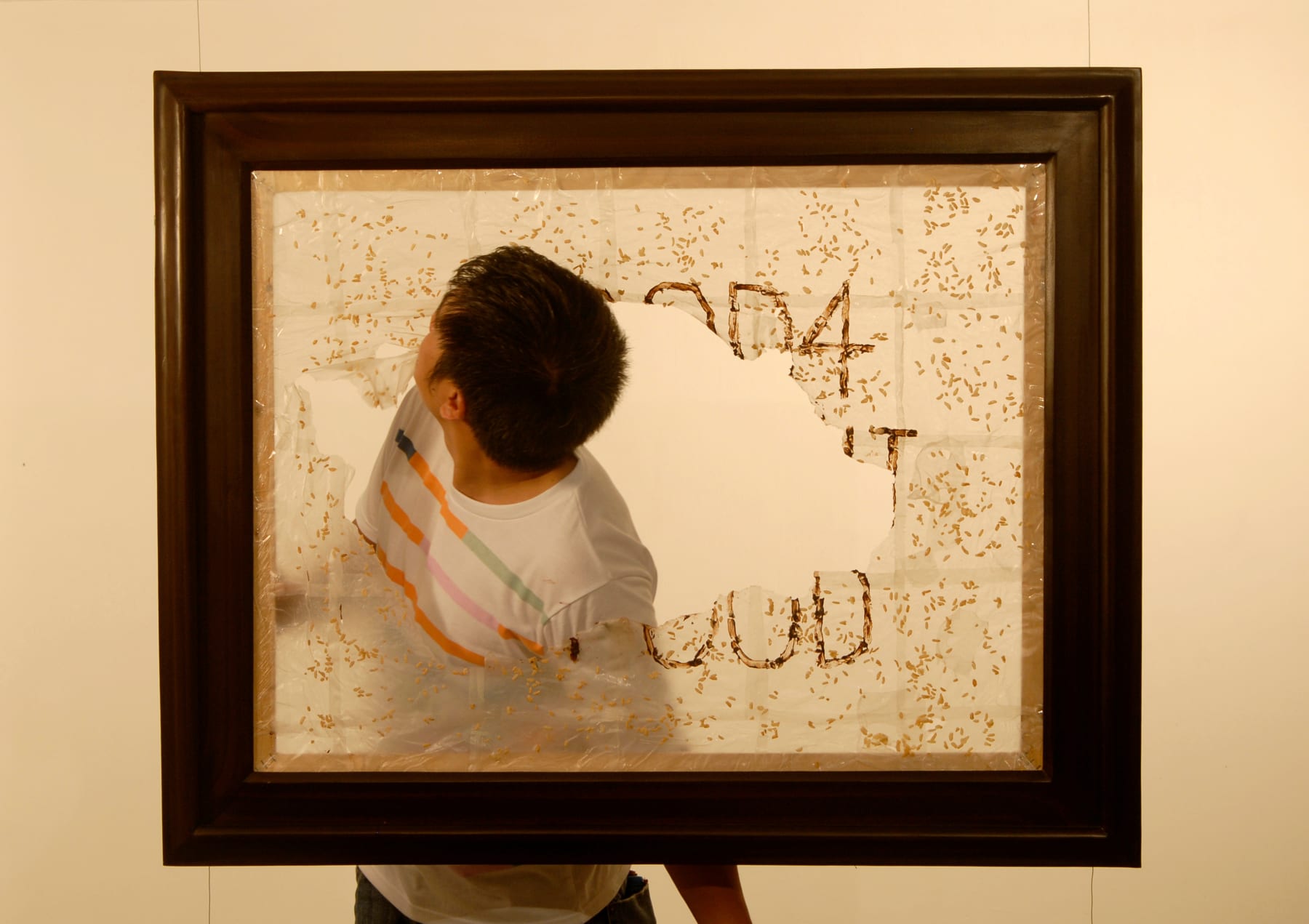 Hoang Duong Cam, Food 4 Thought 4 Food, 2008