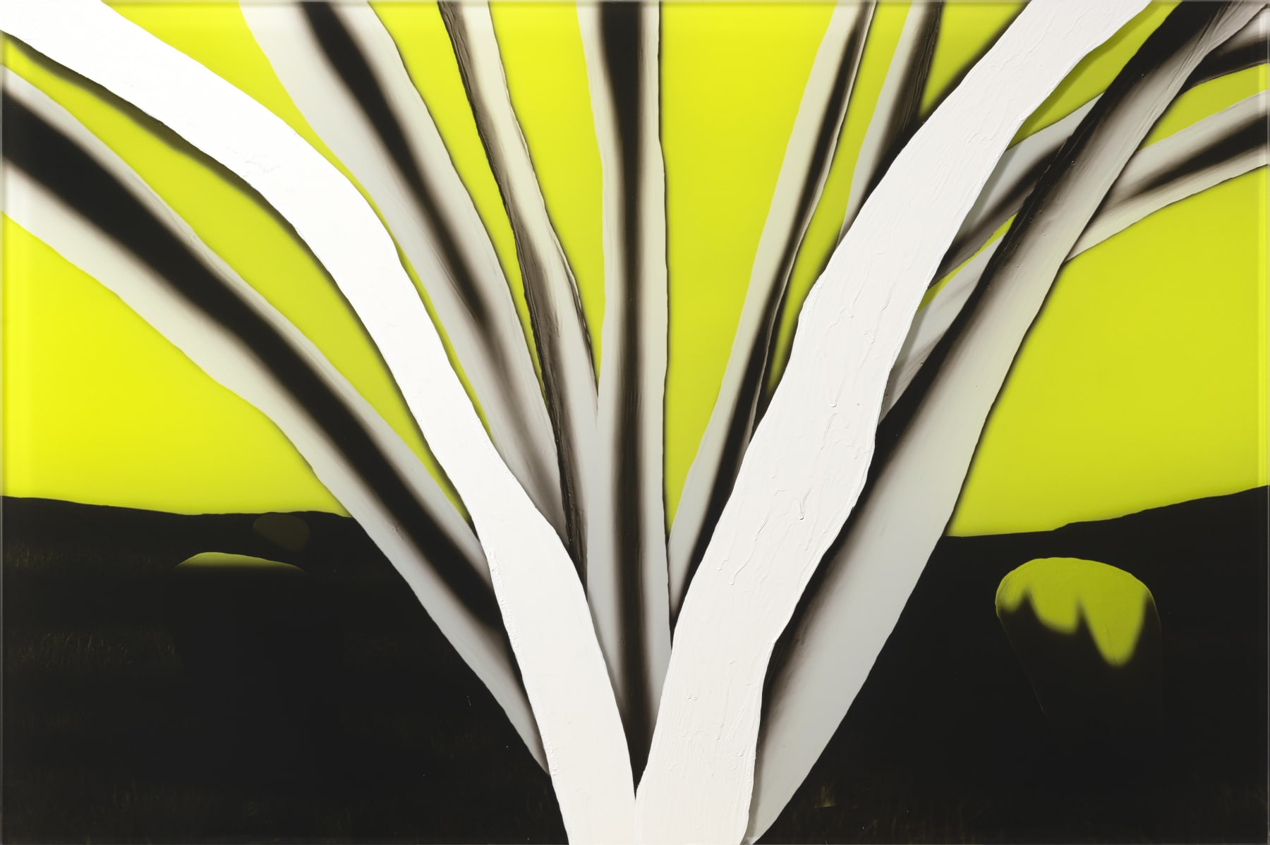 Cian Duggan, SOWN SLEEPER , 2025