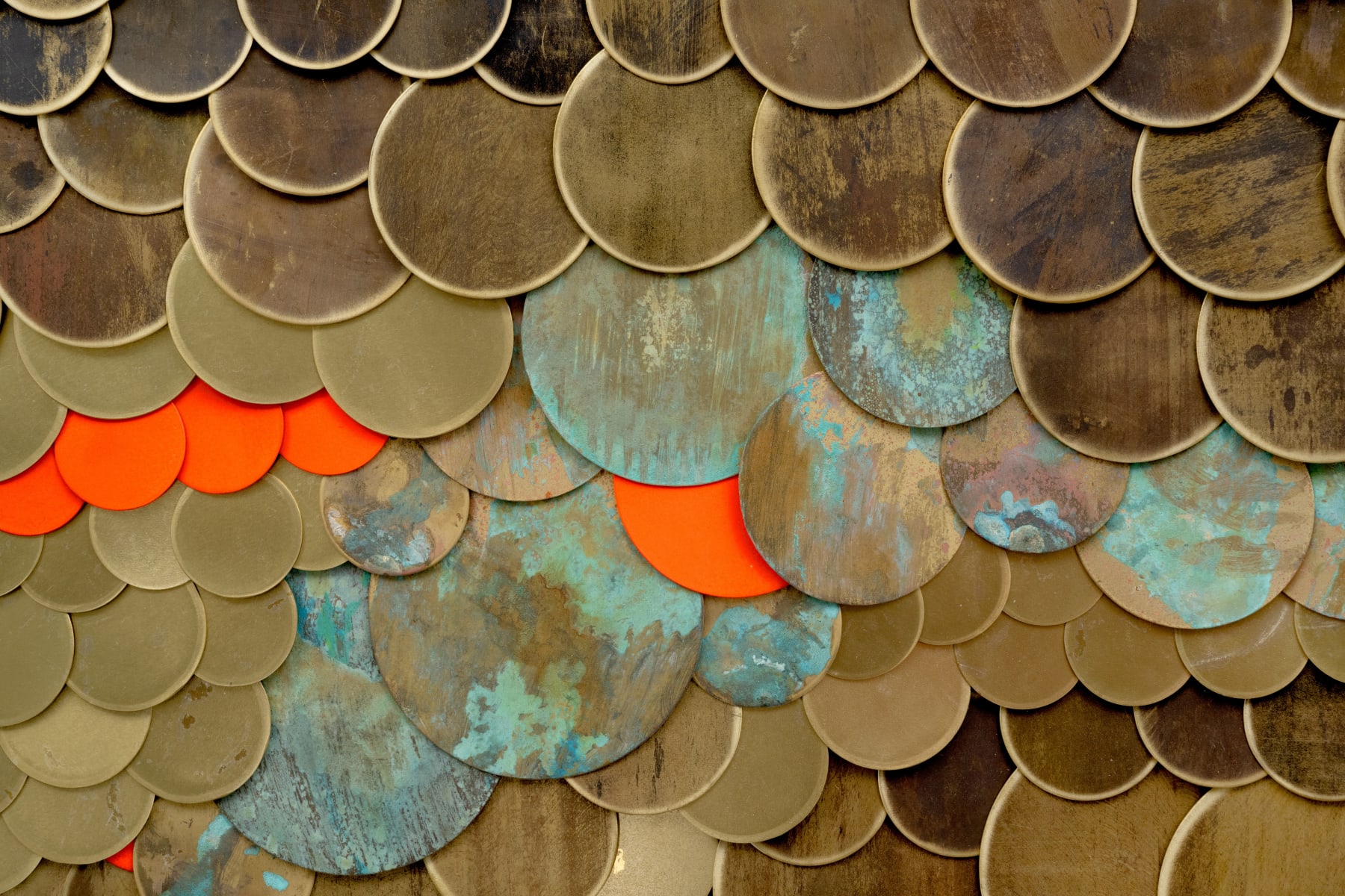 Tuan Andrew Nguyen, Skin, 2024