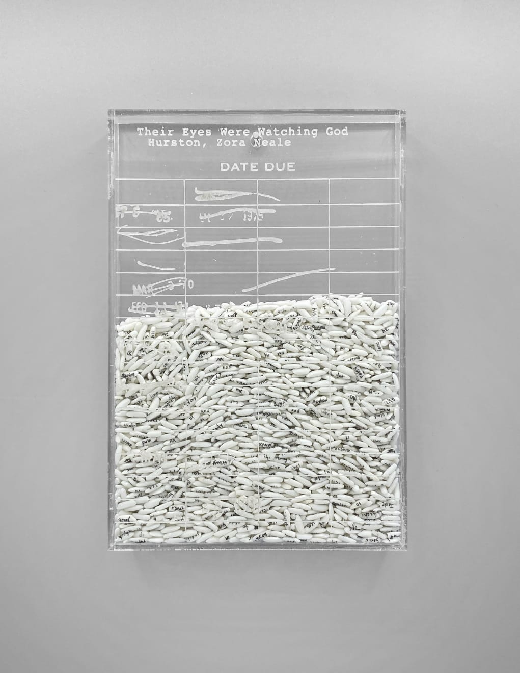 Trong Gia Nguyen, Hurston: Their Eyes Were Watching God, 2021