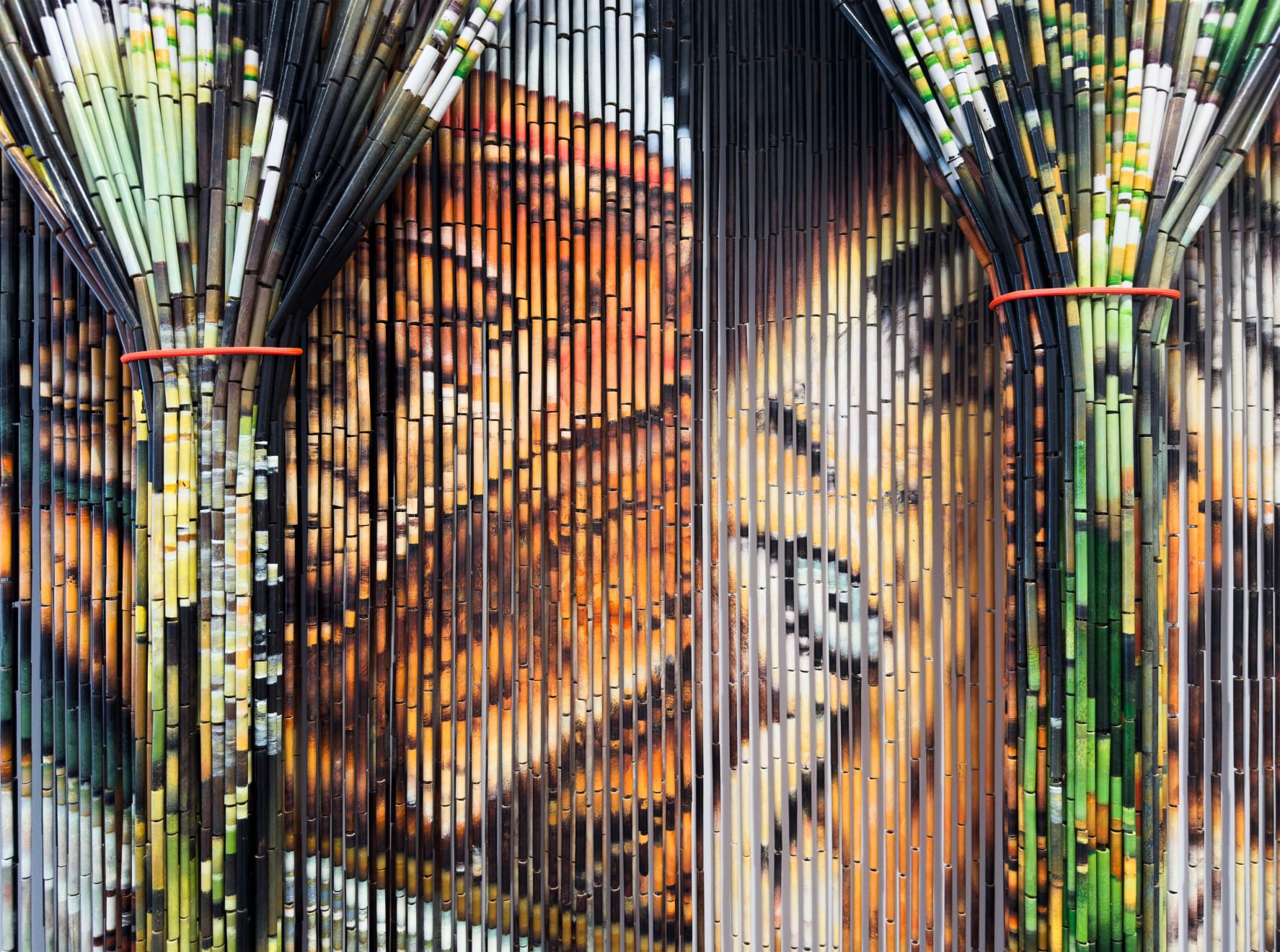 Tuan Andrew Nguyen, Tear, 2024