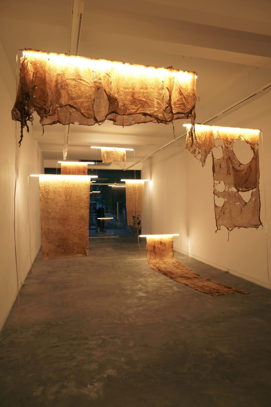 Truong Cong Tung, The Flags of Red Soil, 2018