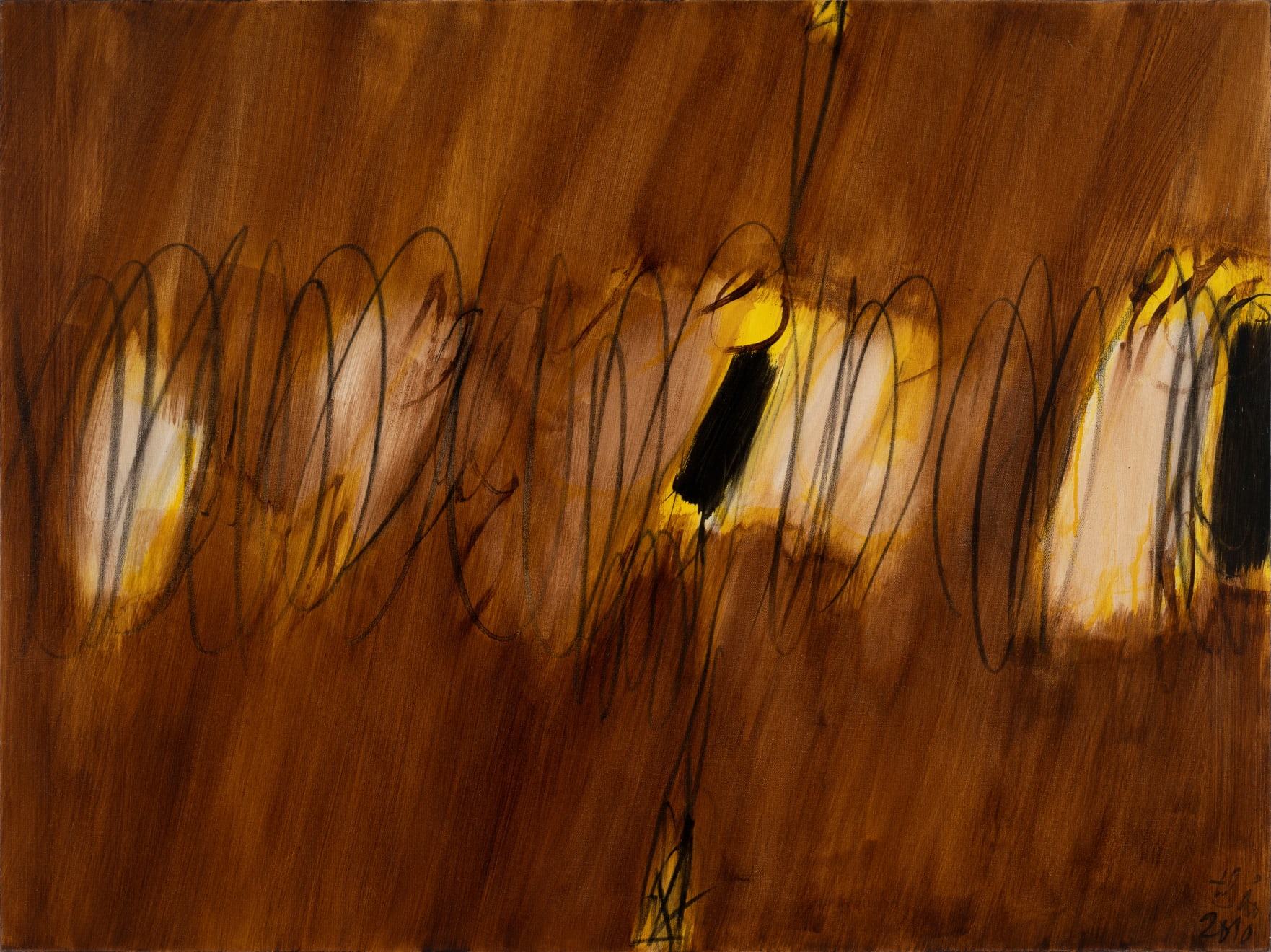 Tran Van Thao, Shadows V, 2010