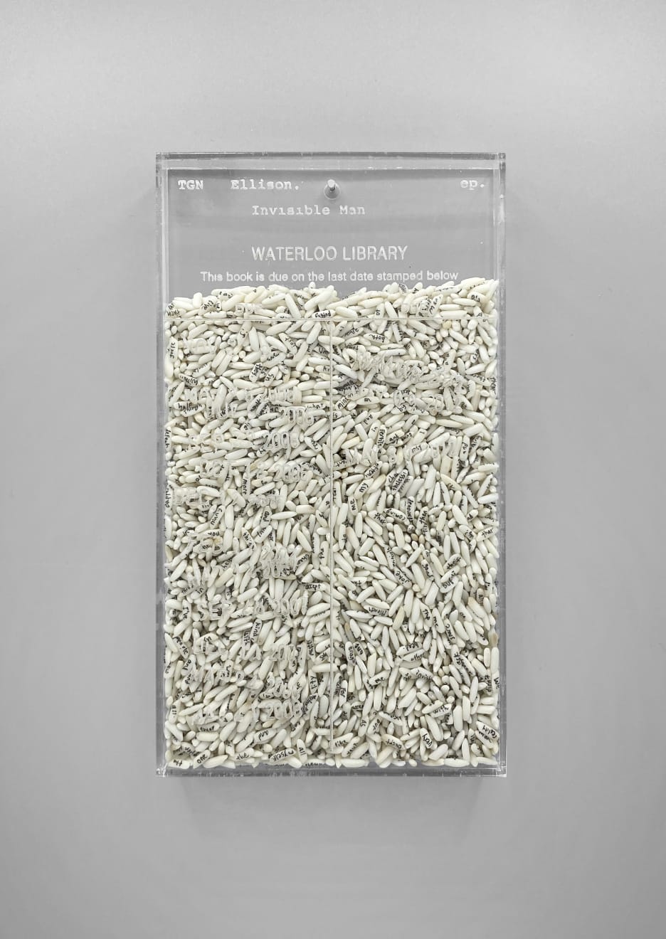 Trong Gia Nguyen, Ellison: Invisible Man, 2020