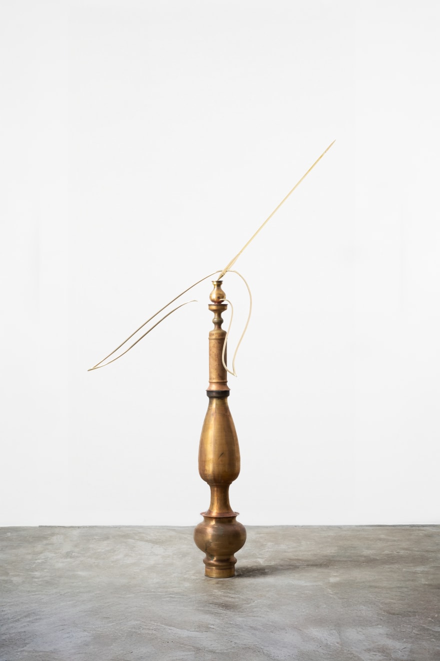 Tuan Andrew Nguyen, Bird In Space, 2024