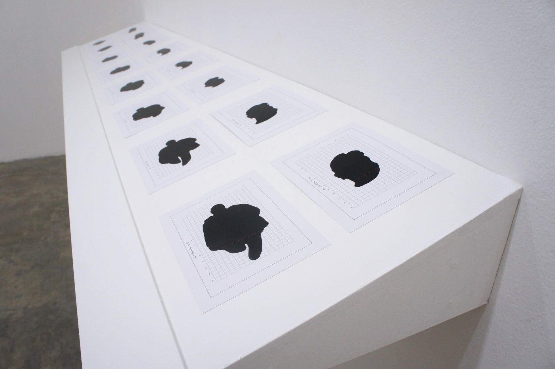 Nguyen Huy An, Study of the Fluctuation of a Shadow, 2014