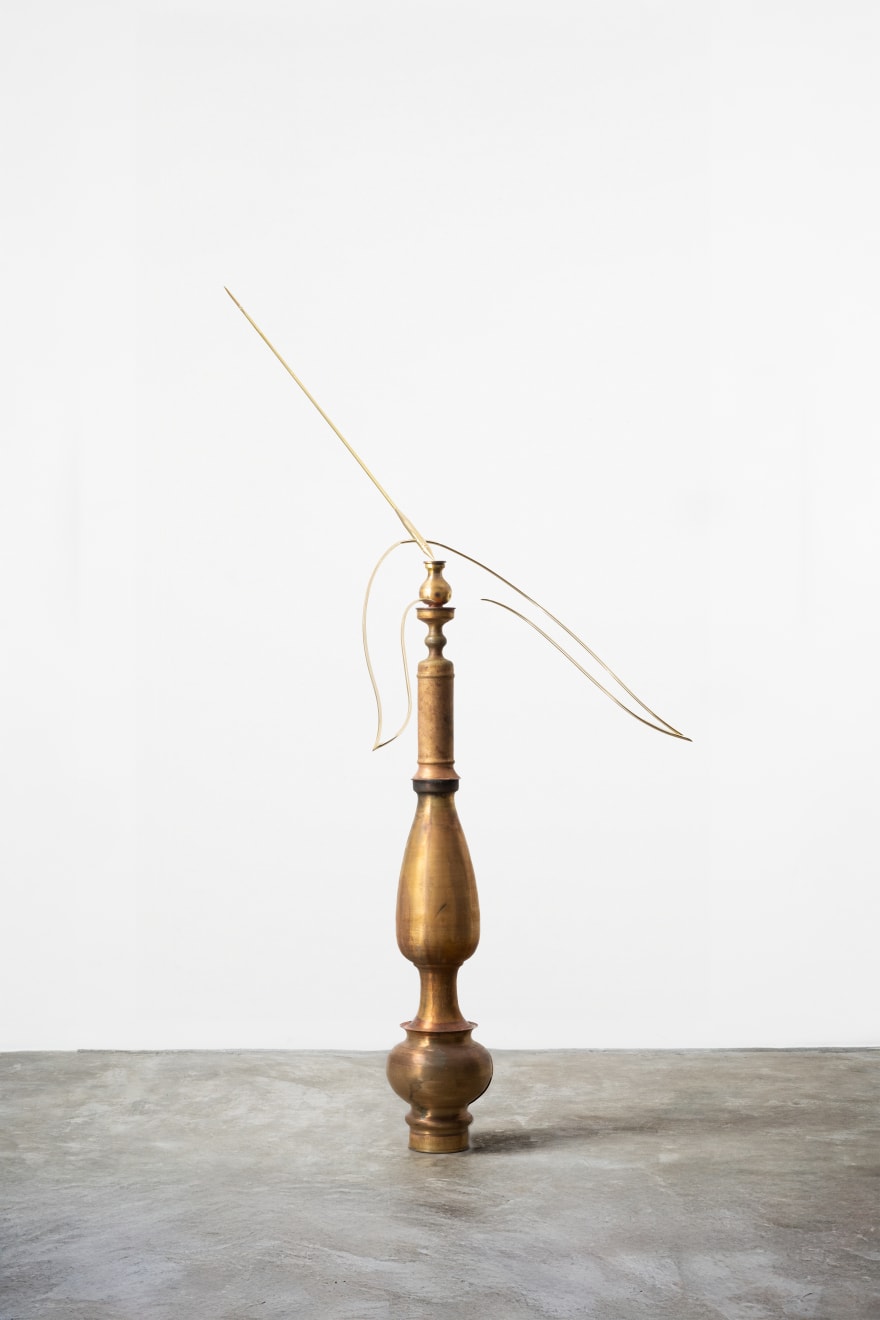 Tuan Andrew Nguyen, Bird In Space, 2024