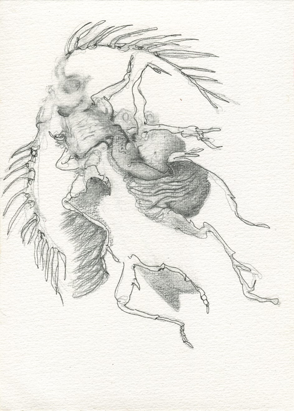 Nadège David, Untitled, 2024