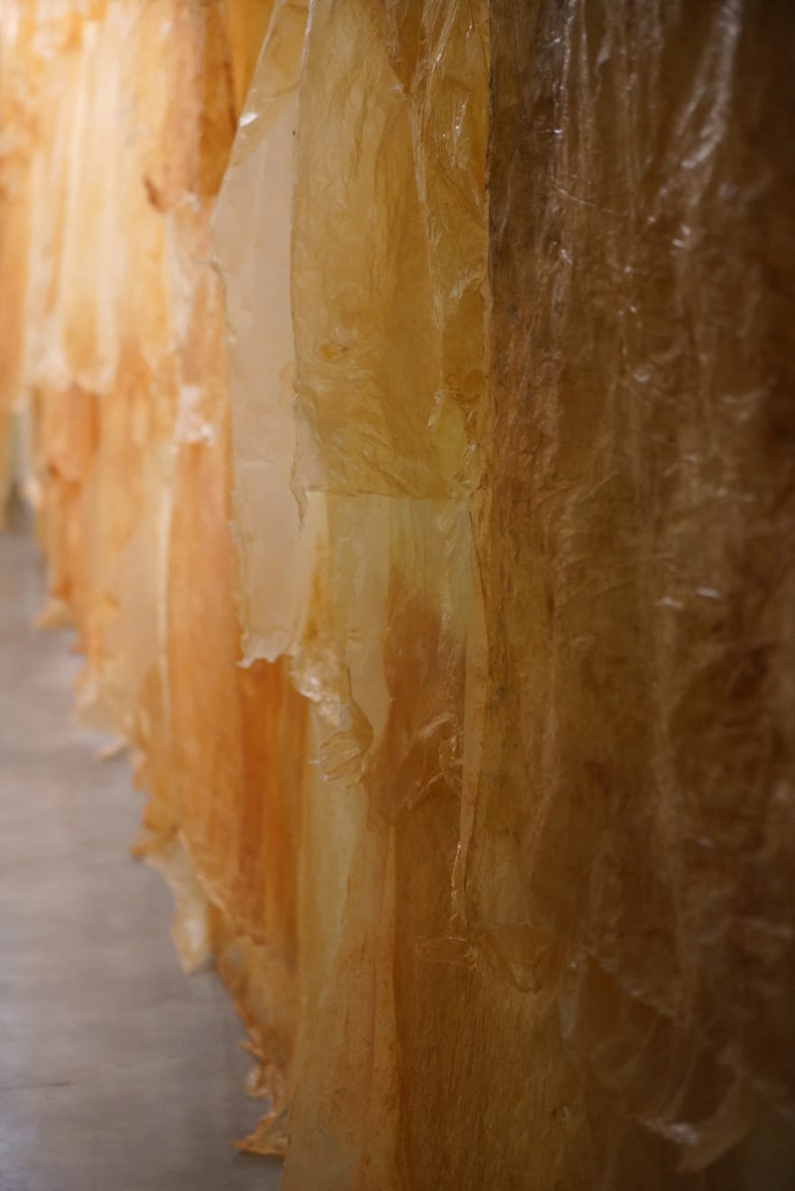 Truong Cong Tung, Traces of Infinity, 2018