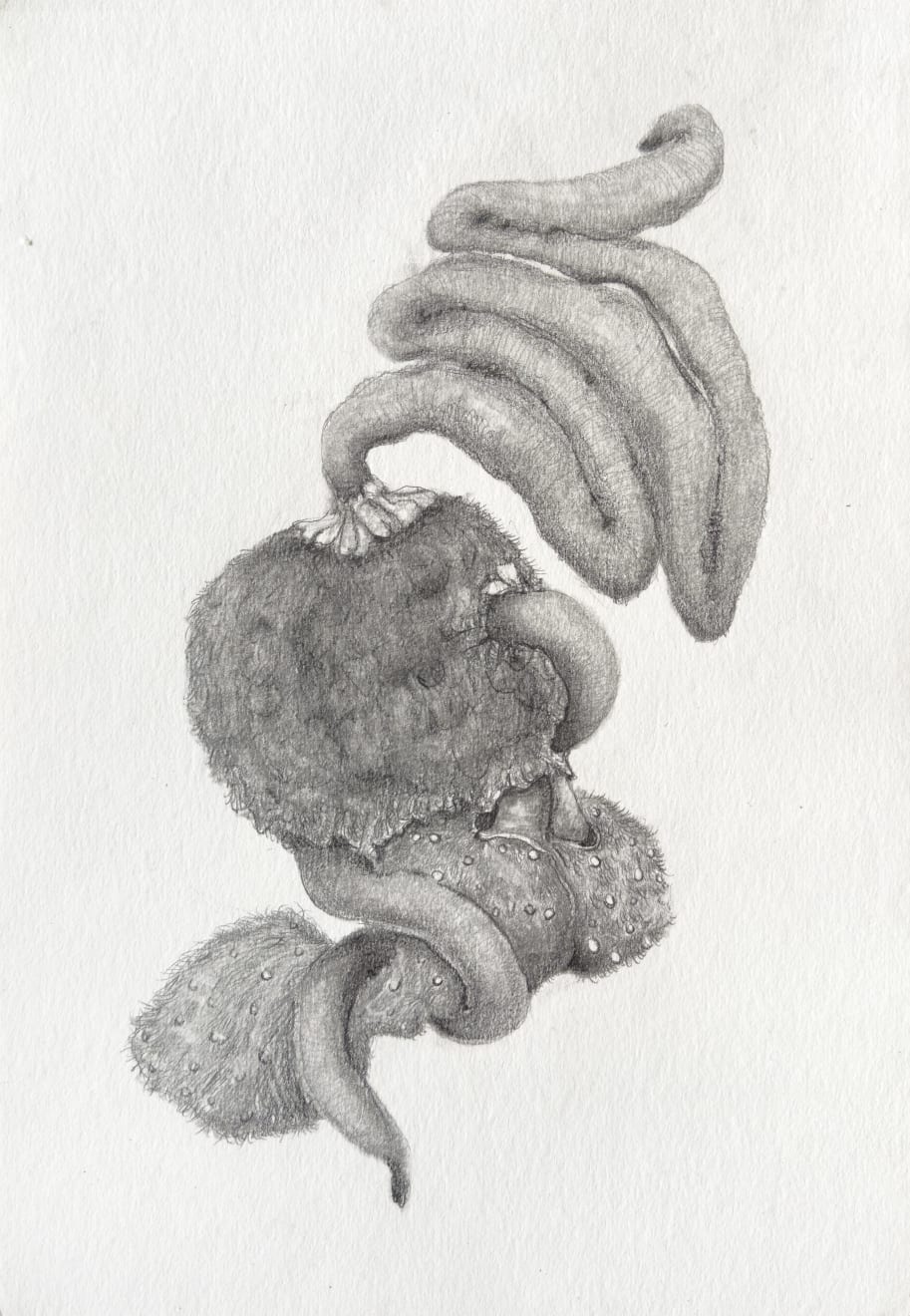 Nadège David, Untitled, 2024