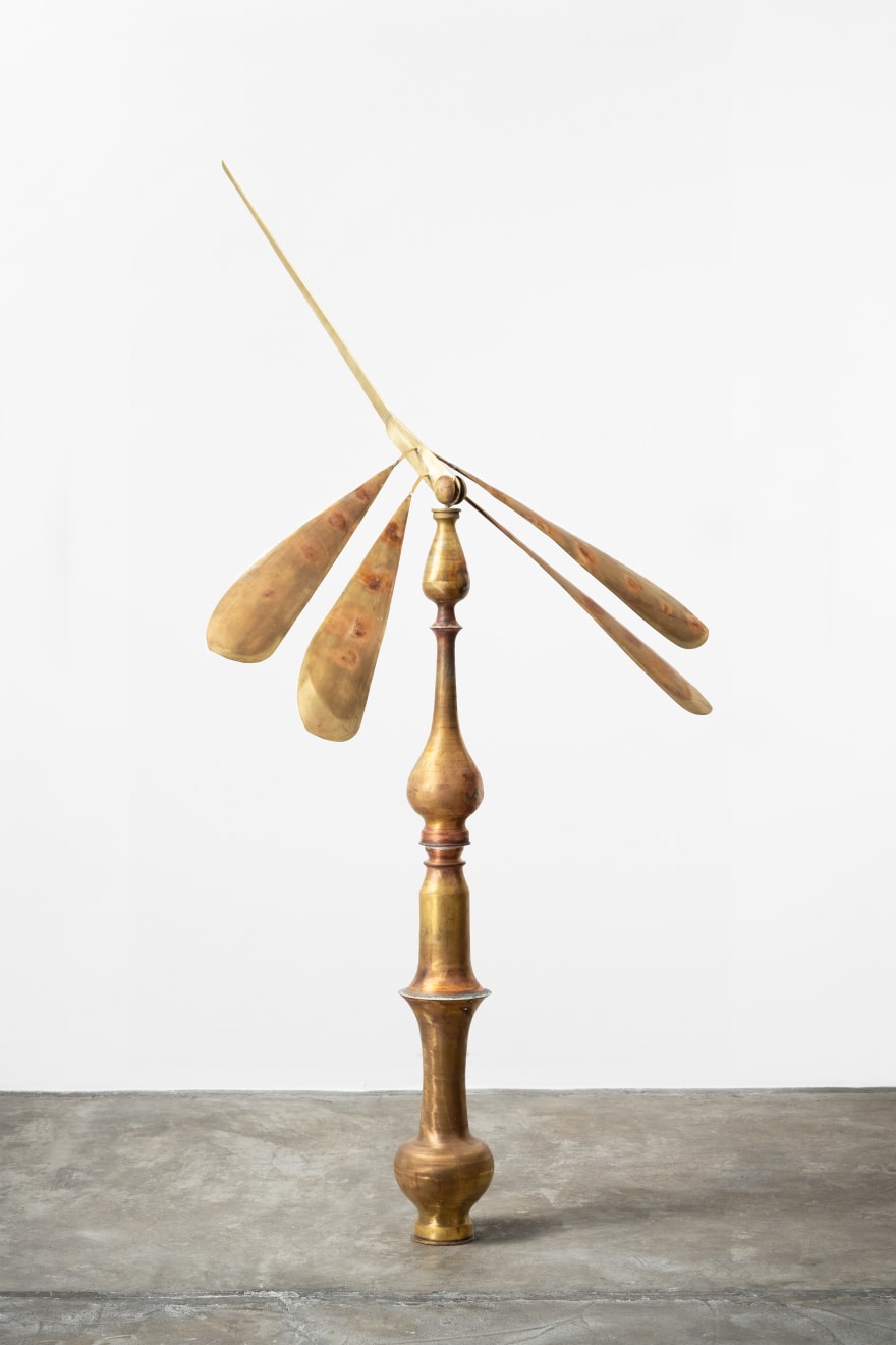 Tuan Andrew Nguyen, Time, 2024