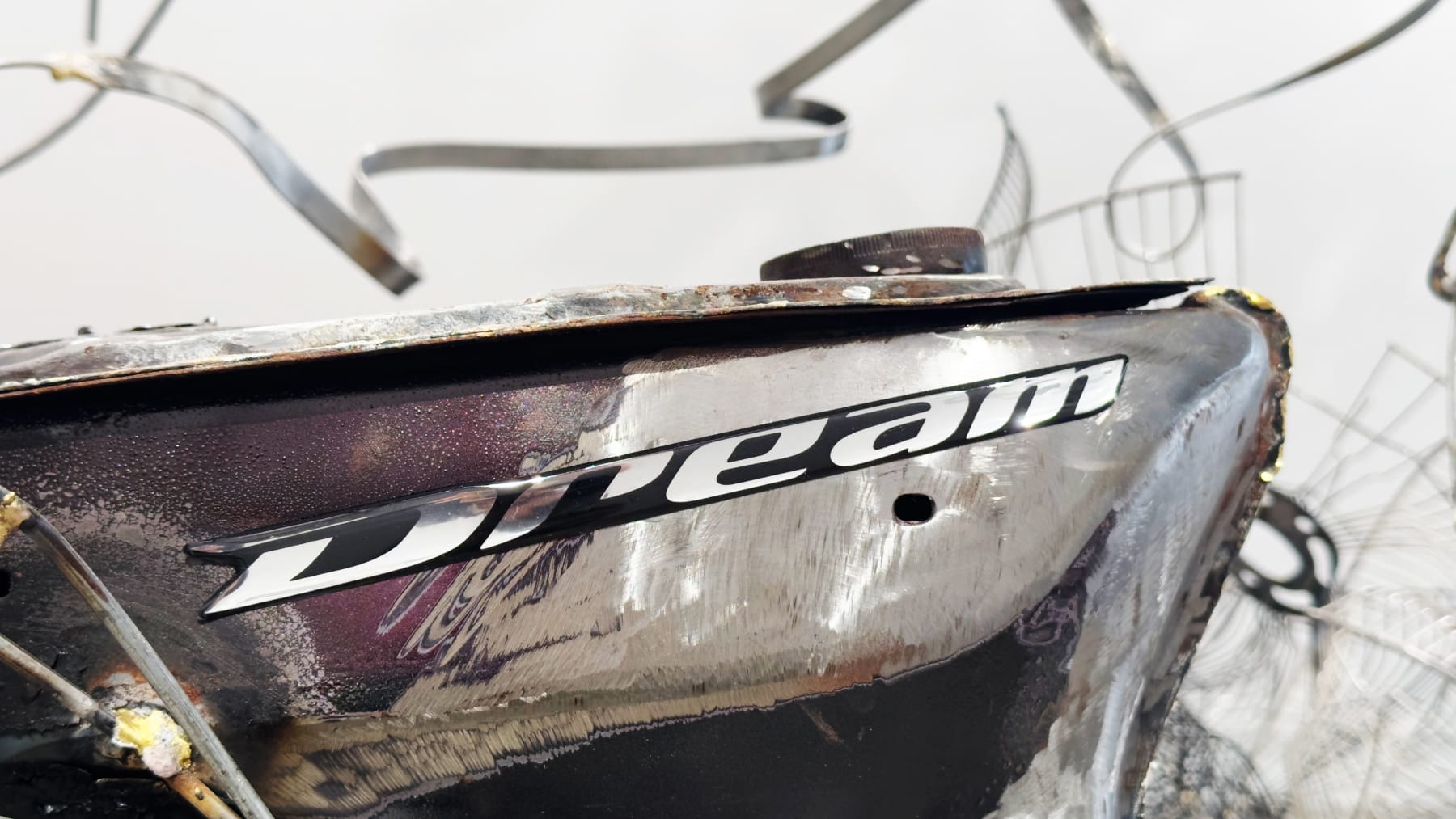 Vy Trinh, DREAM, 2024