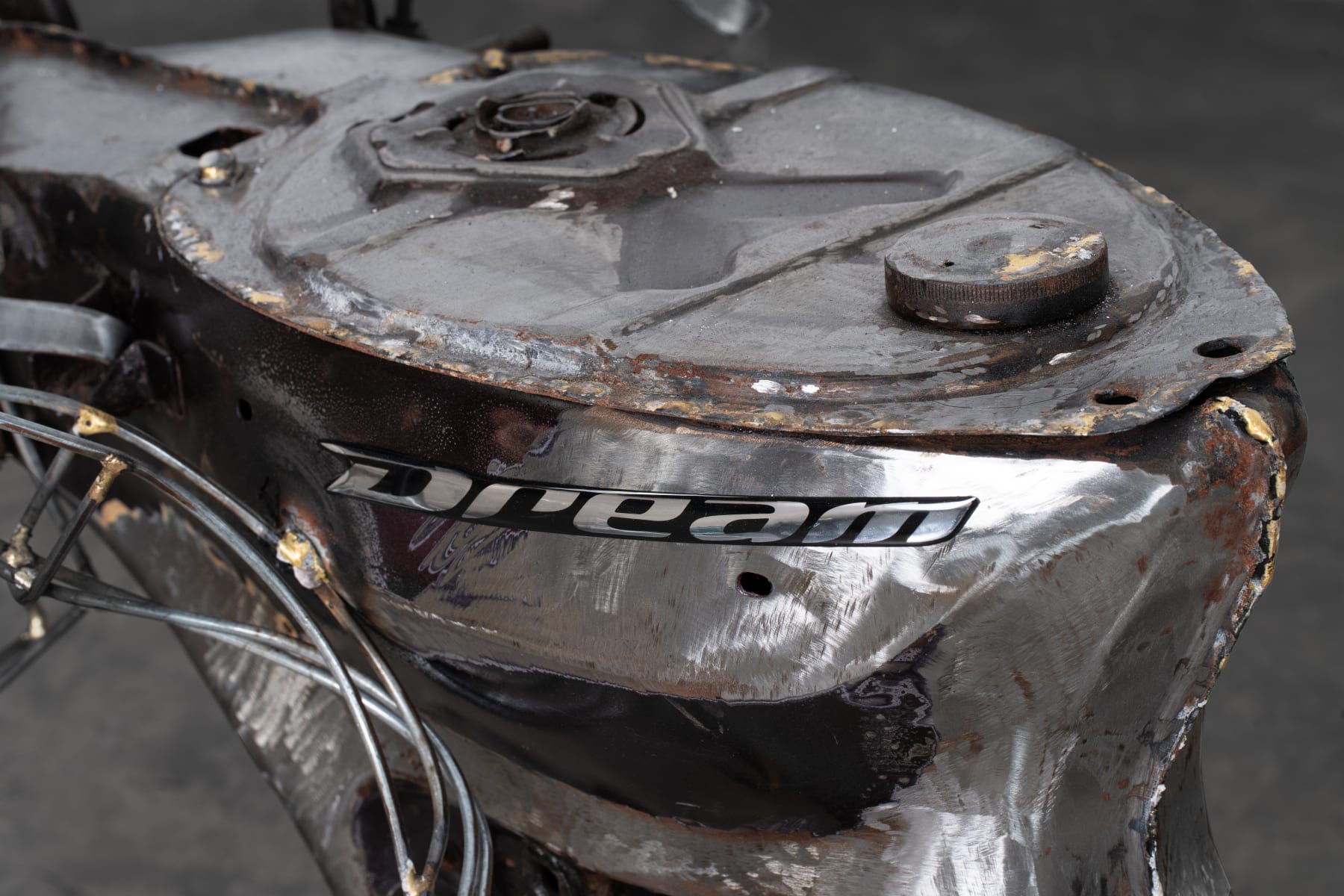 Vy Trinh, DREAM, 2024