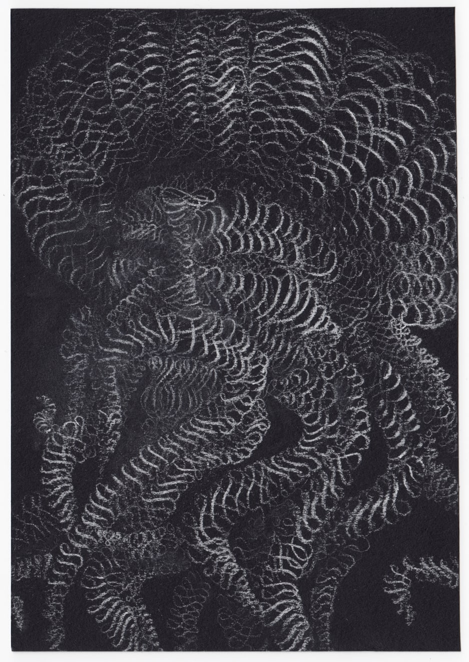 Truc-Anh, Octo, the Sad Fear , 2018