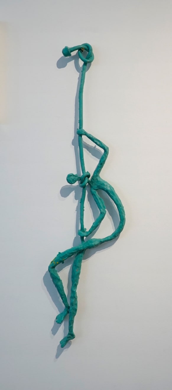 UuDam Tran Nguyen, The Last Rope, 2012