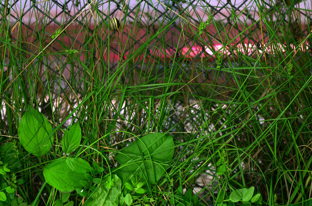 Till Könneker, Close Encounters VI, 2015