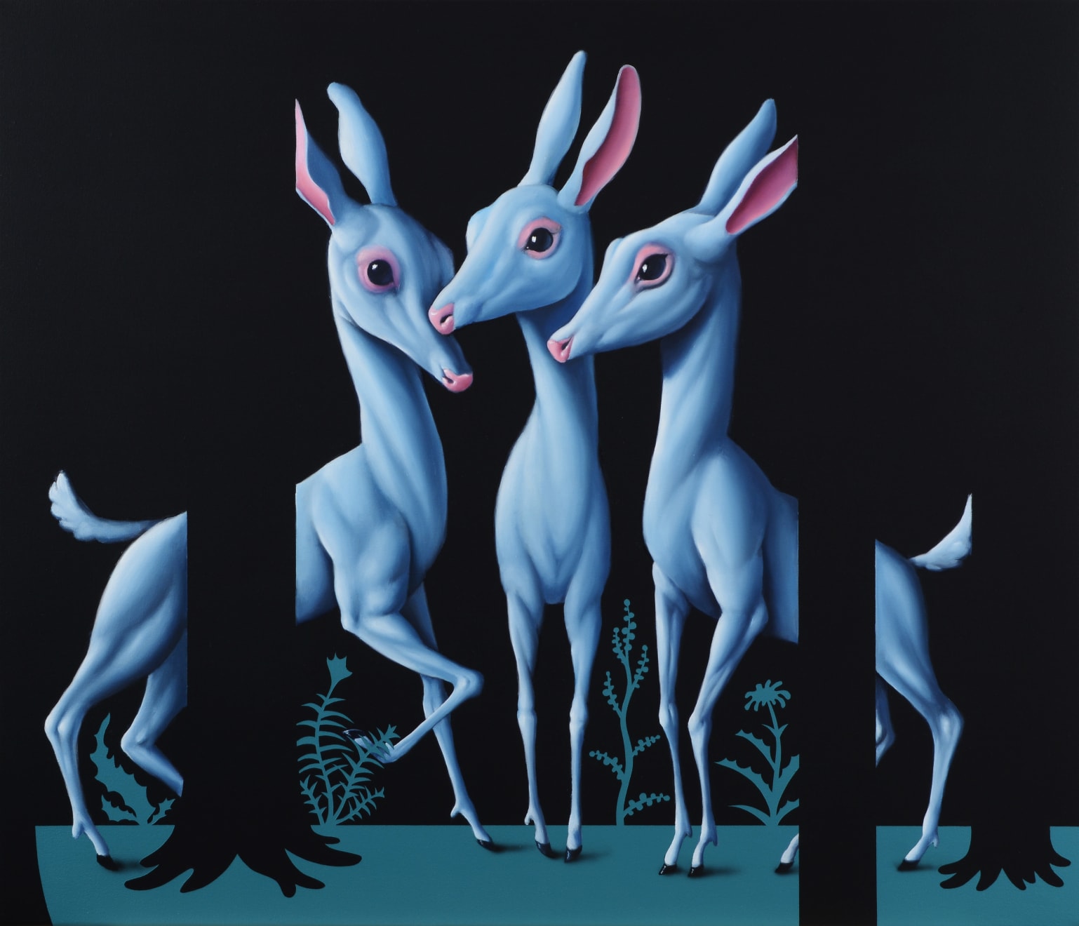 Máté Orr, The Gathering of Nice Animals, 2025