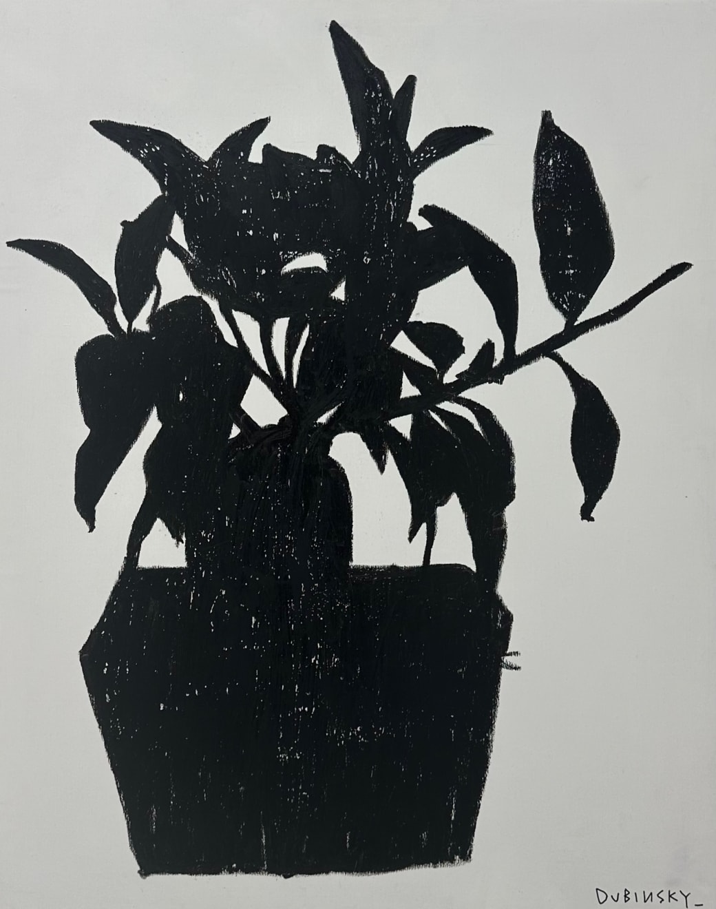 Aleksey Dubinsky, Shadow Plant, 2024