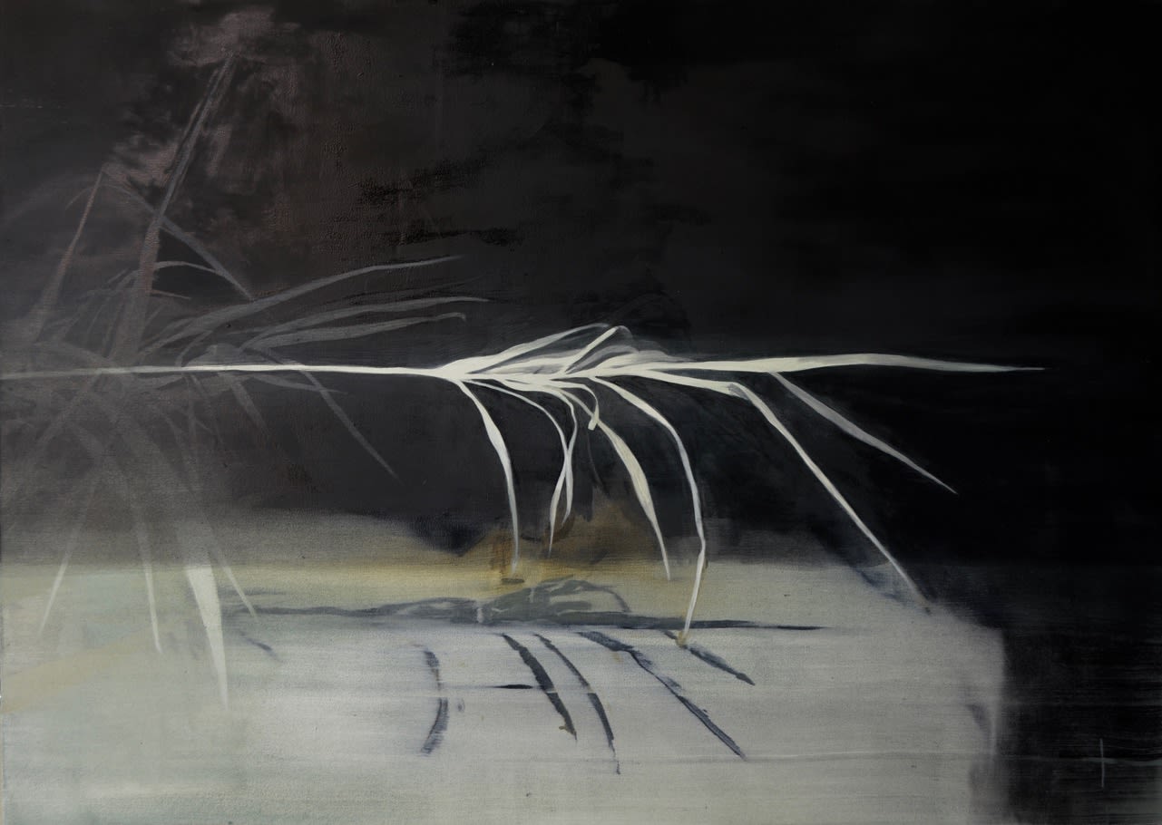 Dimitra Charamandas, Nyx - Halm, 2018