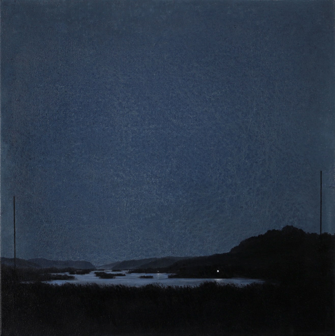 Wojtek Klimek, Marsh, 2020
