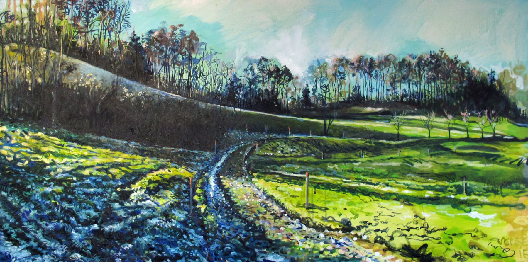 Serge Nyfeler, Vordere Chlapf, 2015