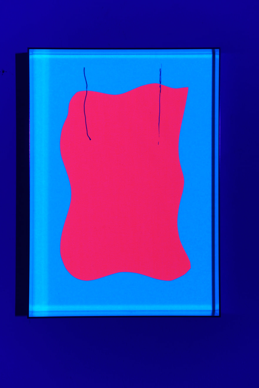 Regine Schumann, fluo cut #105, 2024