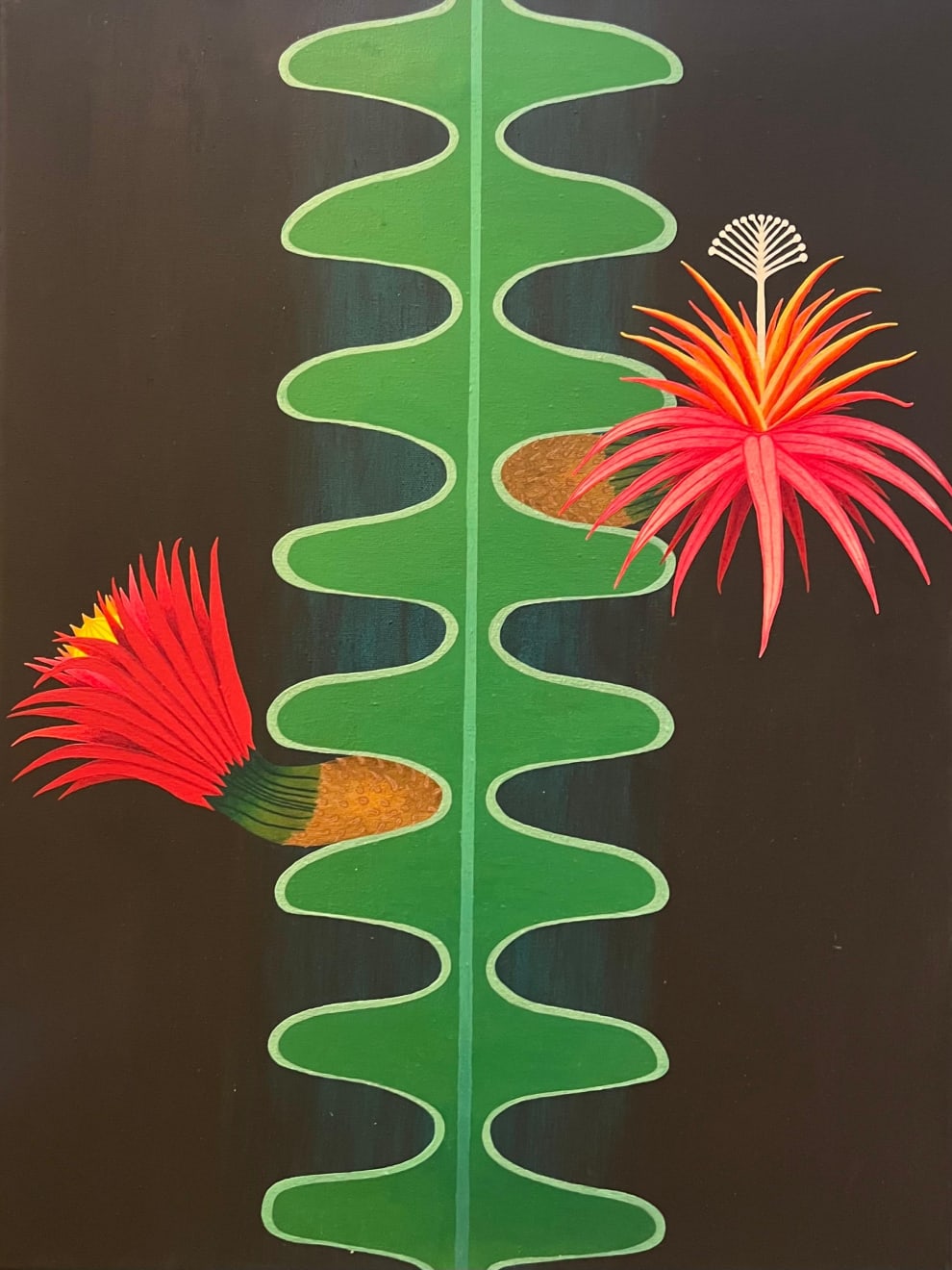 Mike Harridge, Cryptocereus Anthonyanus, 2005