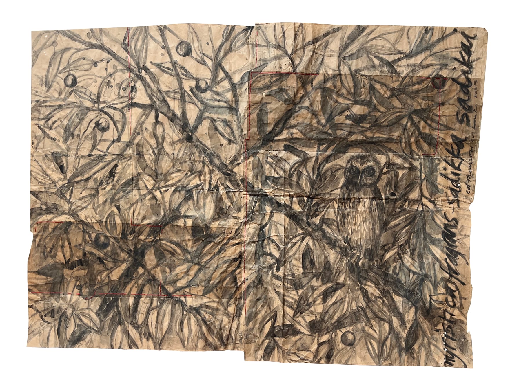 Edwina Thomson, Nutmeg, Sadikka, Sadikai (Colombo), 2025