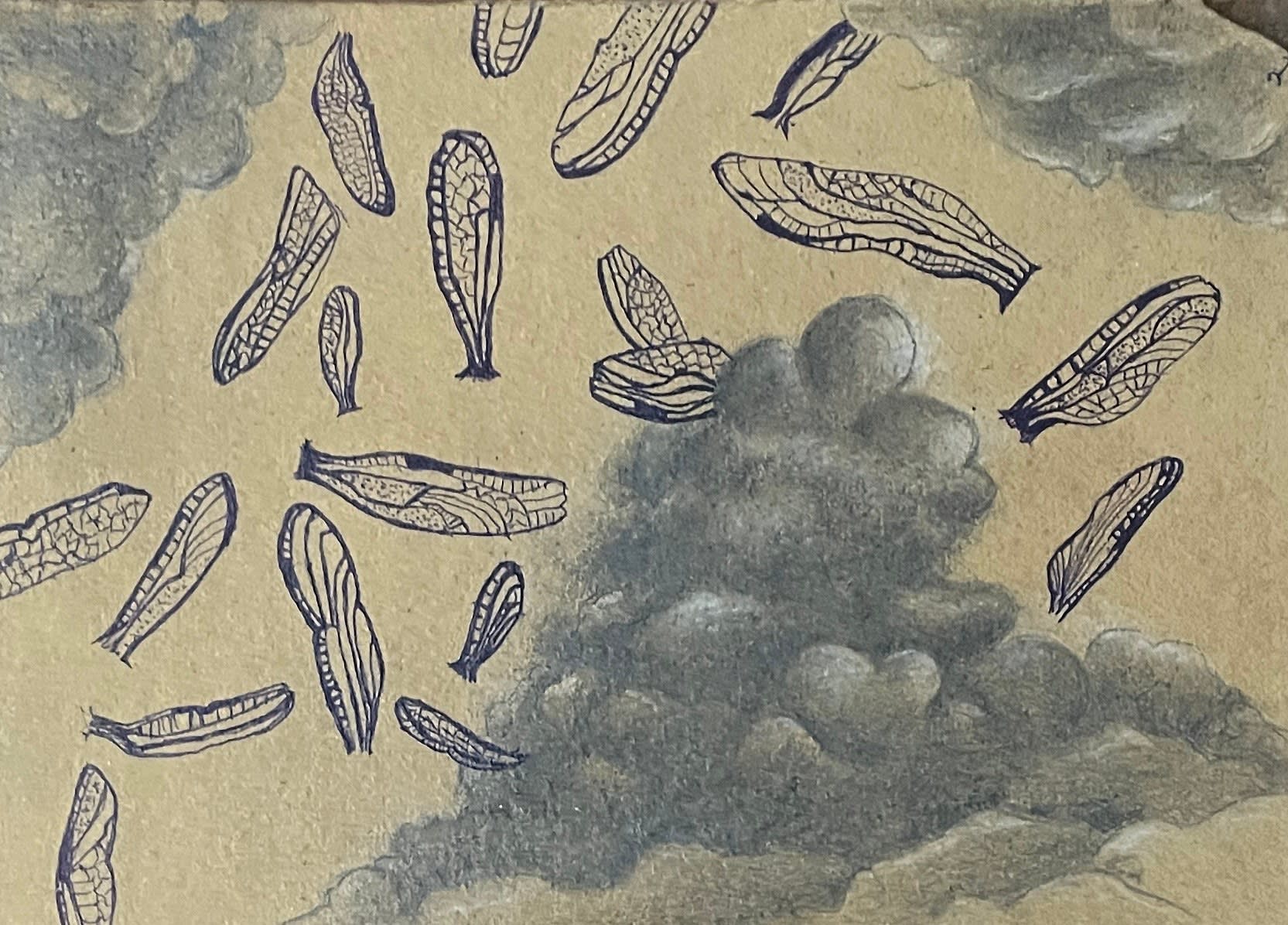 Ponnaiyah Peter, Scram of Space, 2024