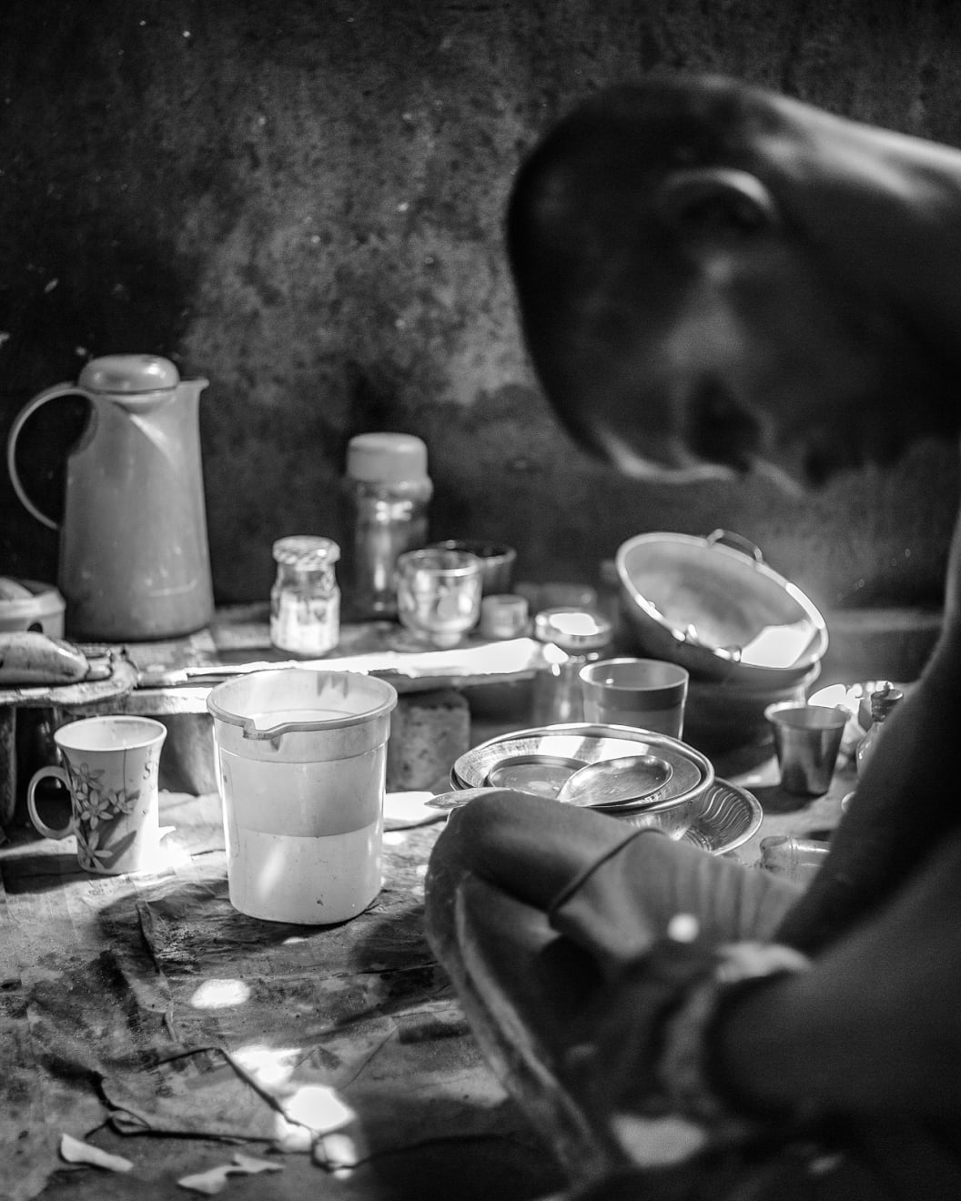 Tavish Gunasena, Shiva devotee and caretaker VII, 2022