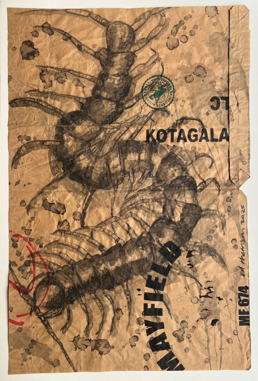 Edwina Thomson, Centipede (Arugam Bay), 2025