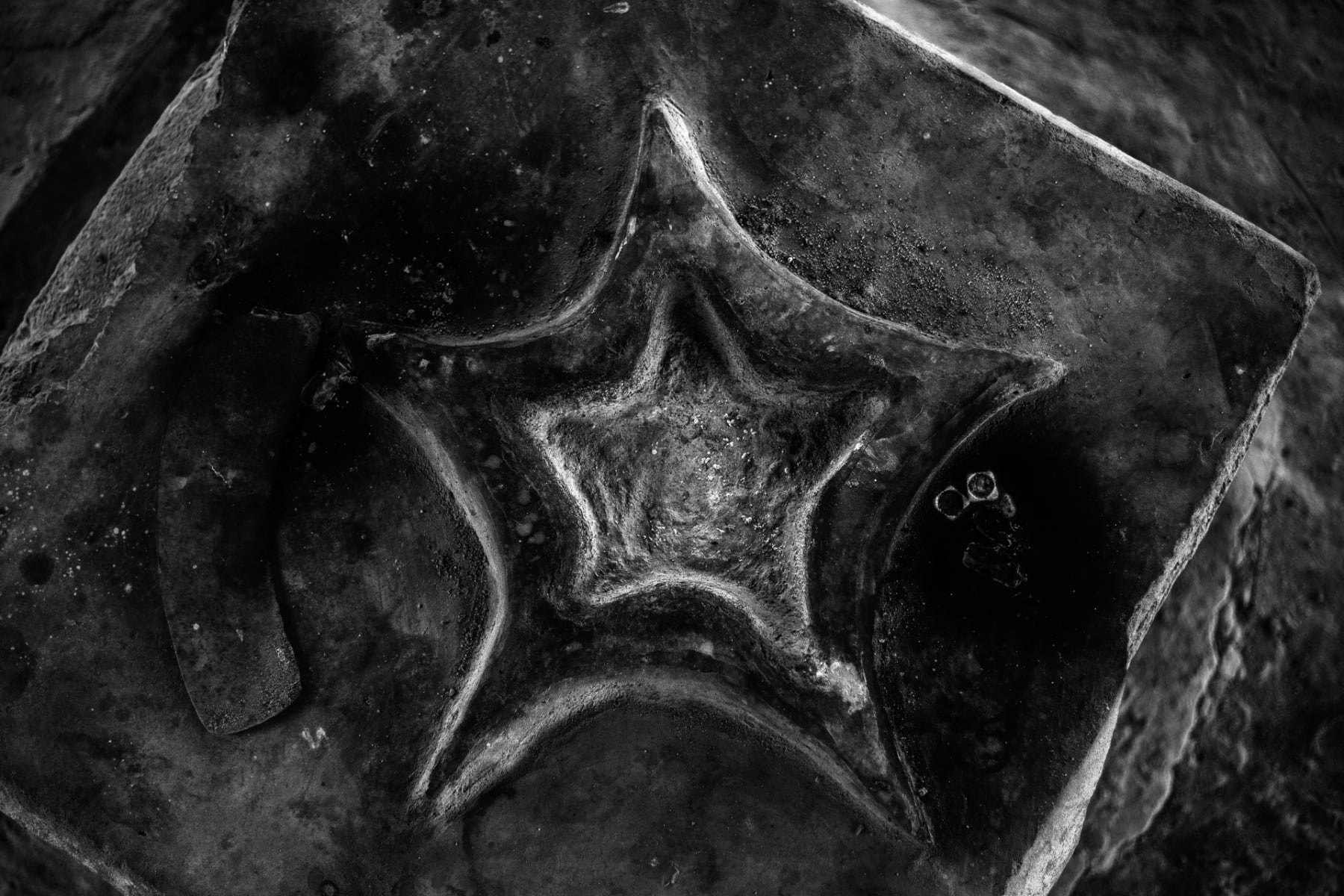 Tavish Gunasena, Kovil detail, 2021