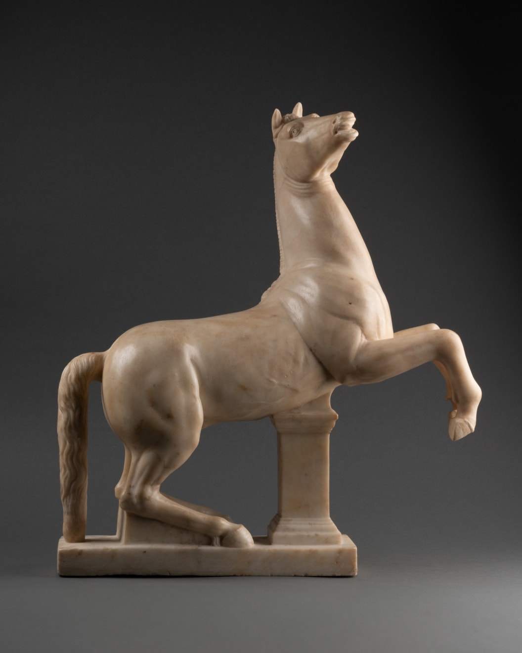 Italian, Rome, Staggering Horse (Quirinal Dioscuri), 18th Century (neoclassical)