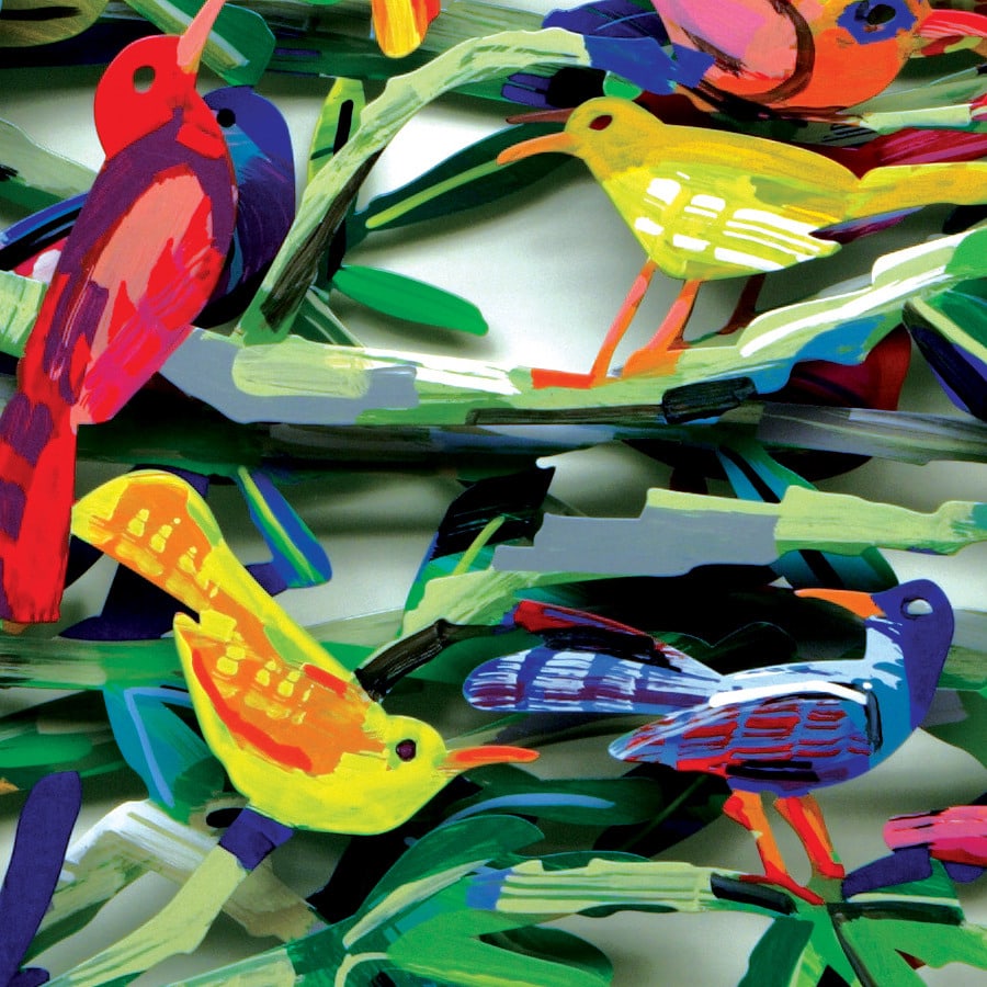 David Gerstein, Exotic Birds