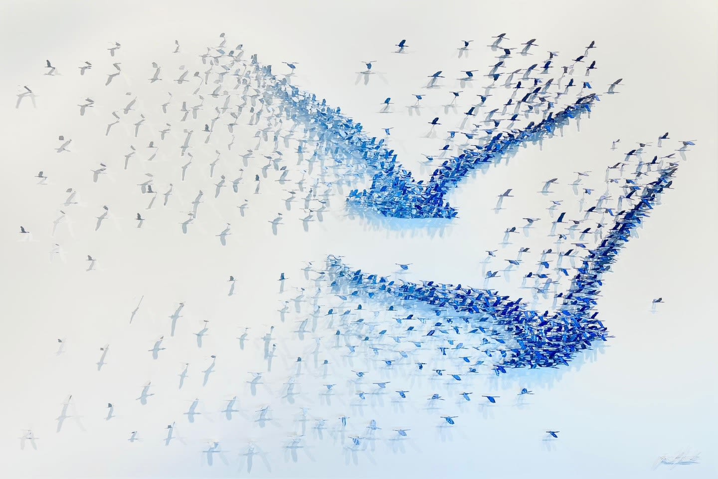 Joel Amit, Love Birds (Blue)