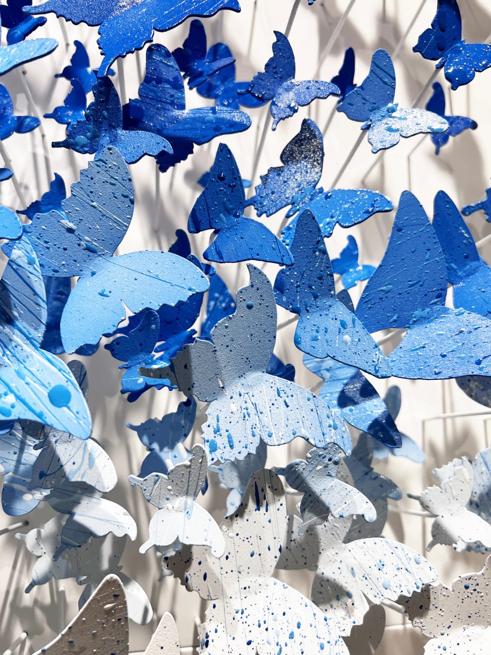 Joel Amit, Here Comes the Sun (Blue)